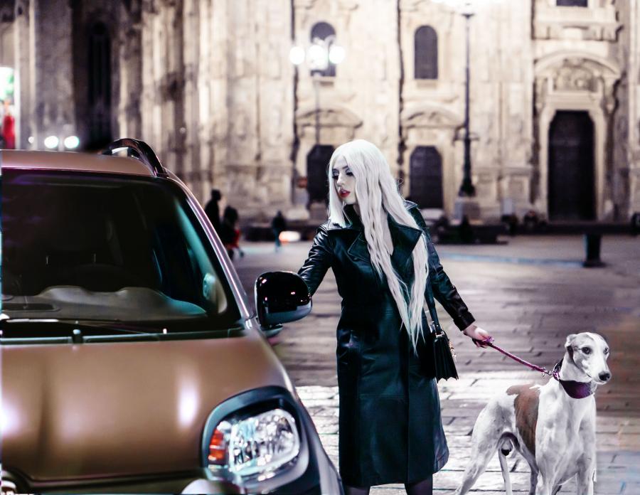  Fiat Panda Trussardi (319) 2019 года  (фото 43 из 43)